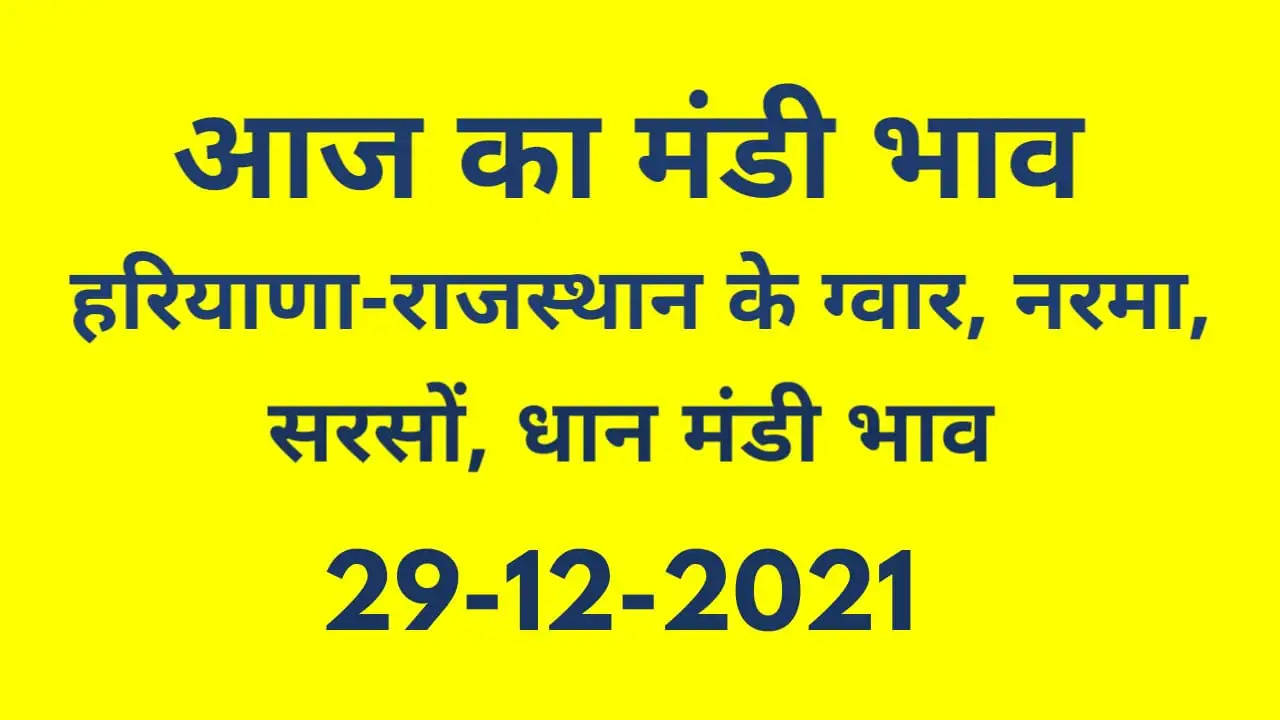 Nohar Adampur Mandi Bhav 29 December 2021