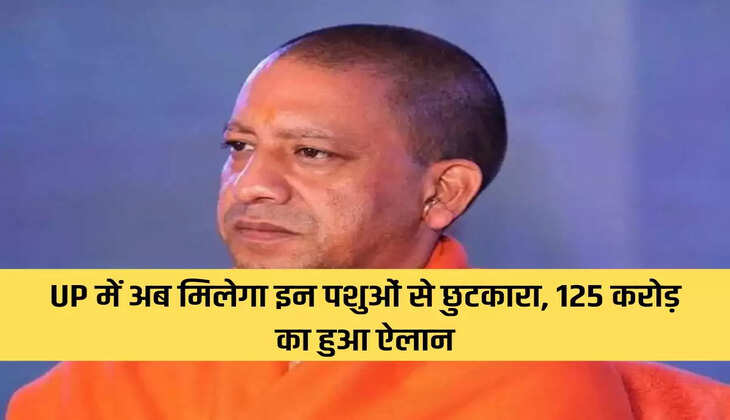 UP will now get rid of these animals, Rs 125 crore announced