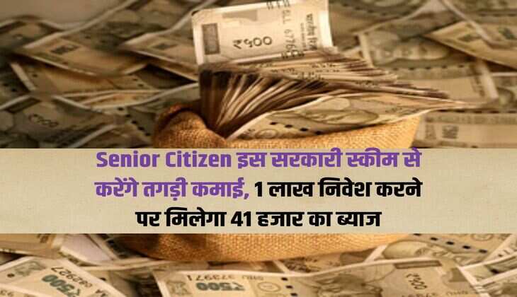 Senior Citizen इस सरकारी स्कीम से करेंगे तगड़ी कमाई, 1 लाख निवेश करने पर मिलेगा 41 हजार का ब्याज