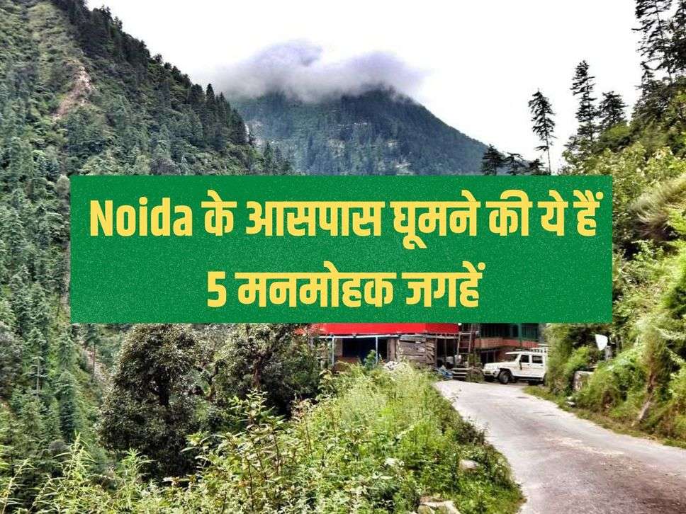 These are 5 charming places to visit around Noida, your heart will not be filled even after seeing them once.