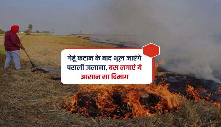 Stubble Burning : गेहूं कटान के बाद भूल जाएंगे पराली जलाना, बस लगाएं ये आसान सा दिमाग़