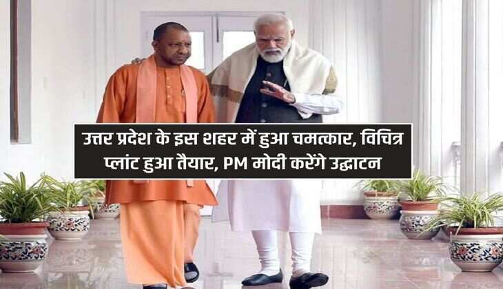 UP News : उत्तर प्रदेश के इस शहर में हुआ चमत्‍कार, विचित्र प्लांट हुआ तैयार, PM मोदी करेंगे उद्घाटन