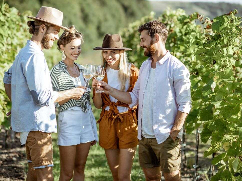 Wine: एक ग्लास वाइन के क्या है फायदे नुकसान? चलिए जानते है डीटेल 