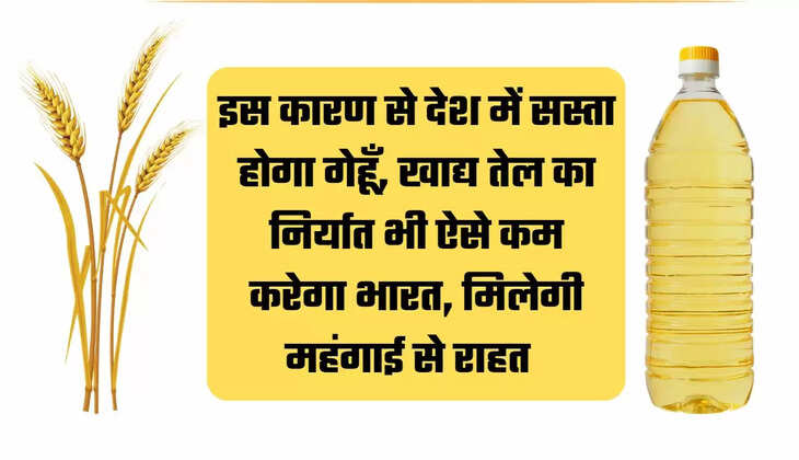 सरसों तेल की कीमत, गेहूं की कीमत, एडिबल ऑयल लेटेस्ट प्राइस, एडिबल ऑयल रेट, आटे का भाव, Wheat stock, Wheat price latest news, Wheat acrage, oil latest rate, Edible oil price, News, News in Hindi, Latest News, Headlines, बिज़नस न्यूज़ Samachar