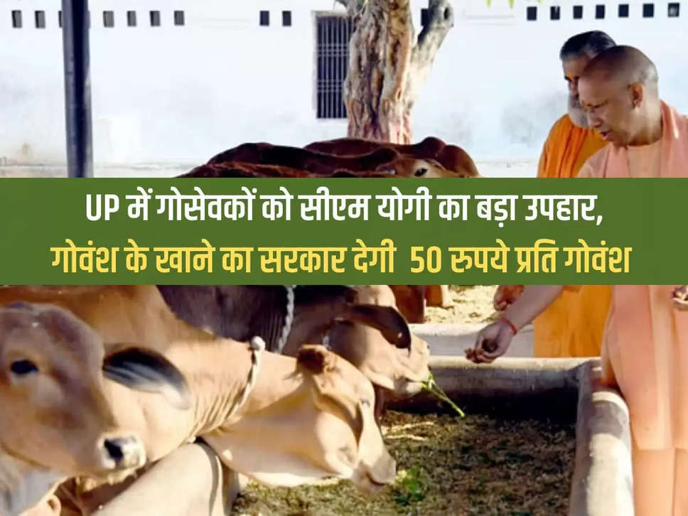 CM Yogi's big gift to cow servants in UP, government will give Rs 50 per cow for food