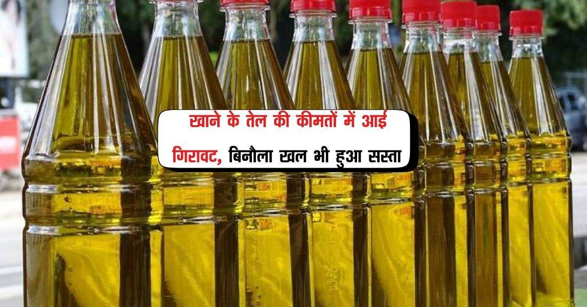 Mustard oil price: खाने के तेल की कीमतों में आई गिरावट, बिनौला खल भी हुआ सस्ता 