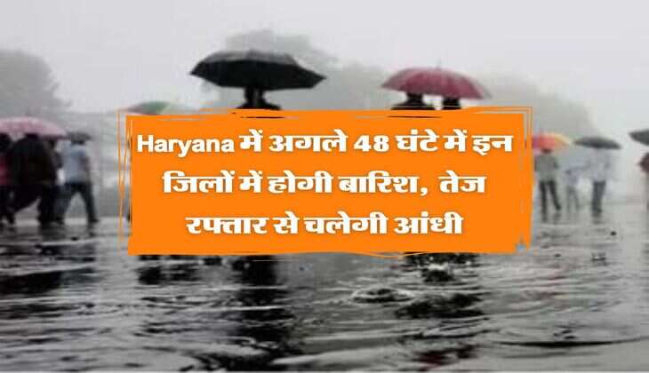 Haryana में अगले 48 घंटे में इन जिलों में होगी बारिश,  तेज रफ्तार से चलेगी आंधी