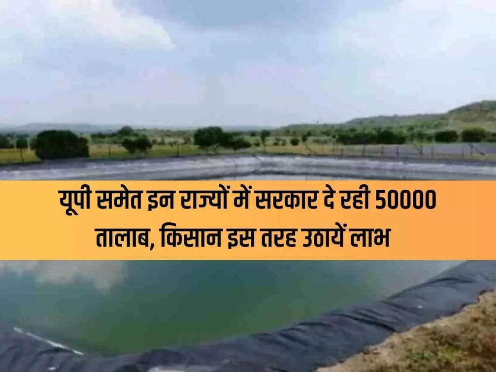 Government is giving 50000 ponds in these states including UP, farmers should avail benefits in this way
