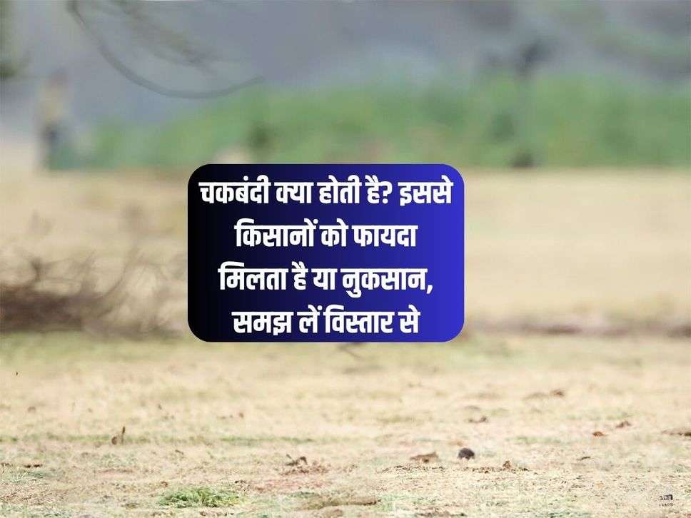 चकबंदी क्या होती है? इससे किसानों को फायदा मिलता है या नुकसान, समझ लें विस्तार से