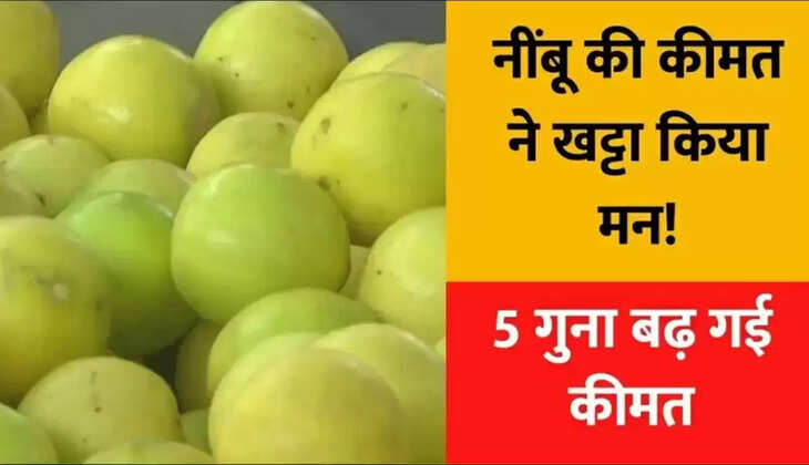 Today Lemon Price