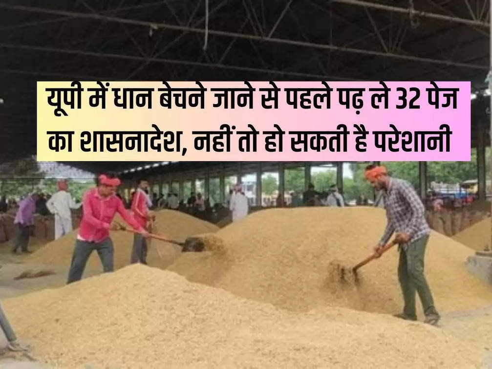 Before going to sell paddy in UP, read the 32 page government order, otherwise you may face problems.
