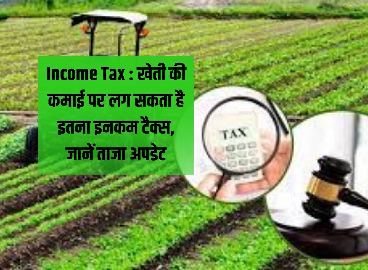 Income Tax : खेती की कमाई पर लग सकता है इतना इनकम टैक्स, जानें ताजा अपडेट 