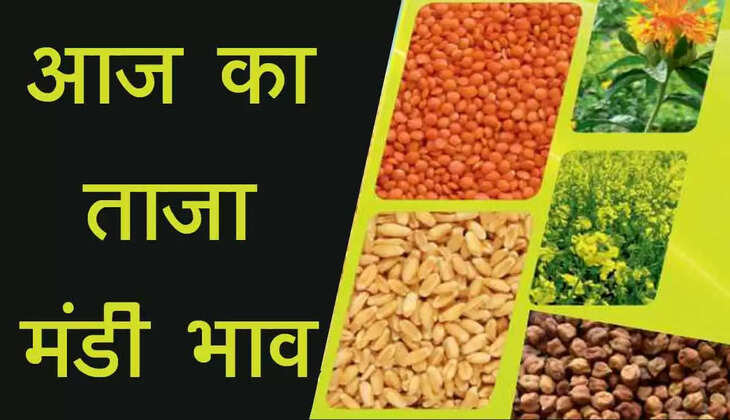 Mandi Bhav 3 March 2022