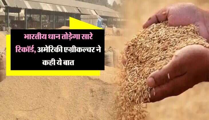भारतीय धान तोड़ेगा सारे रिकॉर्ड, अमेरिकी एग्रीकल्चर ने कही ये बात