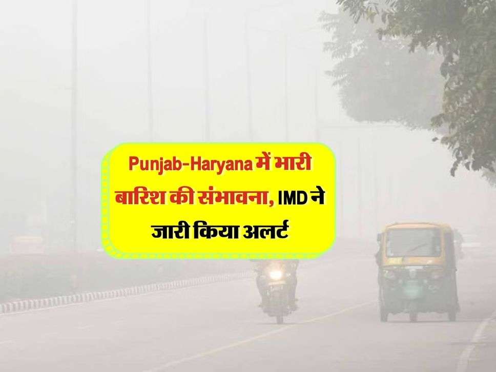 Punjab-Haryana में भारी बारिश की संभावना, IMD ने जारी किया अलर्ट