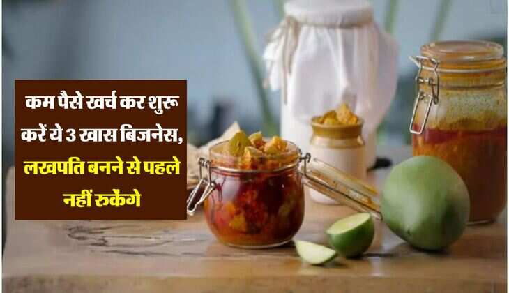 Business Ideas: कम पैसे खर्च कर शुरू करें ये 3 खास बिजनेस, लखपति बनने से पहले नहीं रुकेंगे