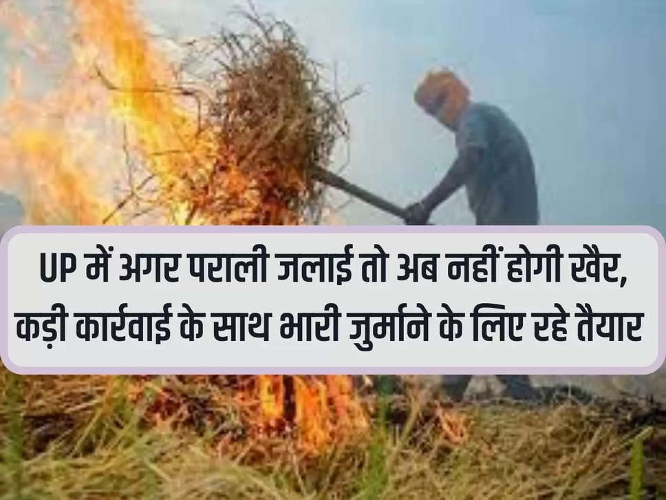 If stubble is burnt in UP then it will not happen now. Well, be prepared for strict action and heavy fine.