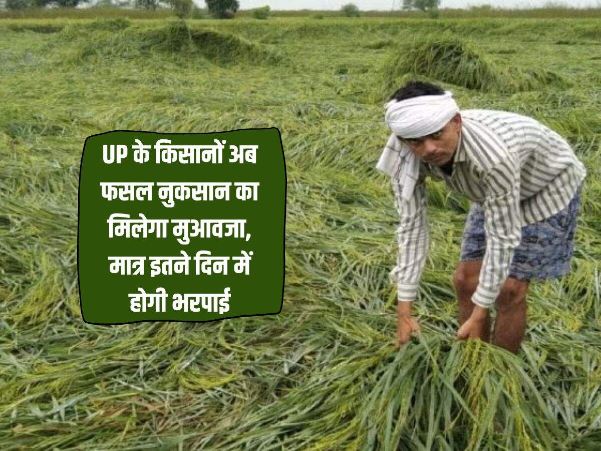 UP के किसानों अब फसल नुकसान का मिलेगा मुआवजा, मात्र इतने दिन में होगी भरपाई