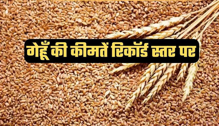 पाकिस्तान वर्सेज इंडिया गेहूं की कीमत, गेहूं क्यों हो रहा महंगा, गेहूं की कीमत, गेहूं का रेट, आटे का भाव, Wheat Price news, Wheat price in India, Wheat flour price, Wheat crisis latest news, India vs Pakistan Wheat price, News, News in Hindi, Latest News, Headlines, बिज़नस न्यूज़ Samacharx