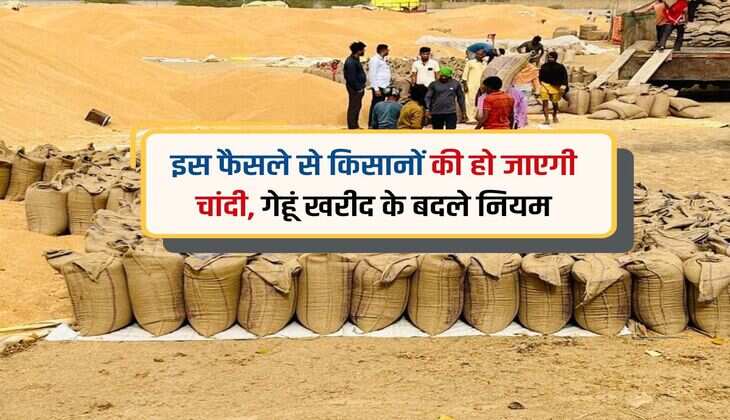 इस फैसले से किसानों की हो जाएगी चांदी, गेहूं खरीद के बदले नियम