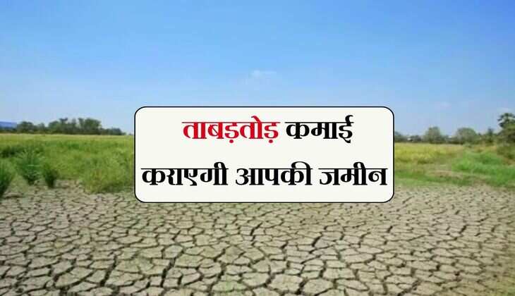 Sarkari Yojana: ताबड़तोड़ कमाई कराएगी आपकी जमीन, सरकार देगी 70 फीसदी सब्सिडी