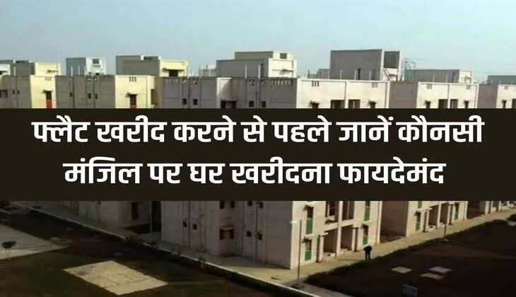 property news hindi