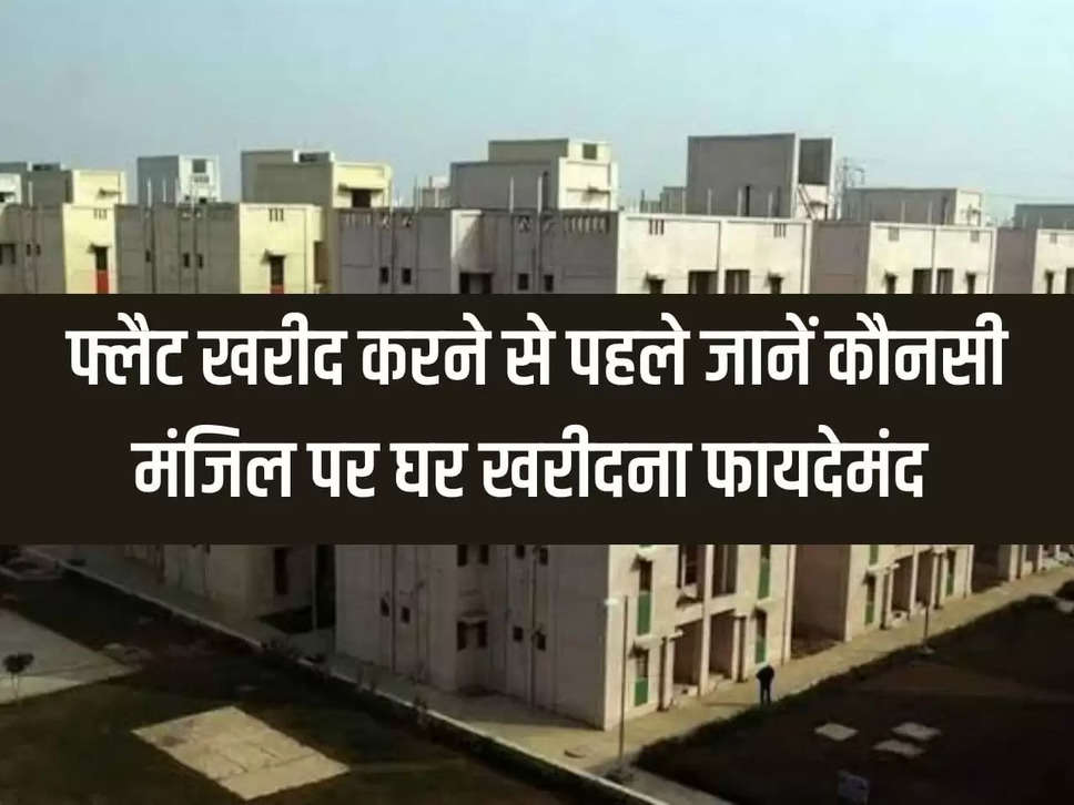 property news hindi