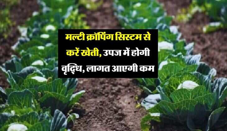 मल्टी क्रॉपिंग सिस्टम से करें खेती, उपज में होगी वृद्धि, लागत आएगी कम