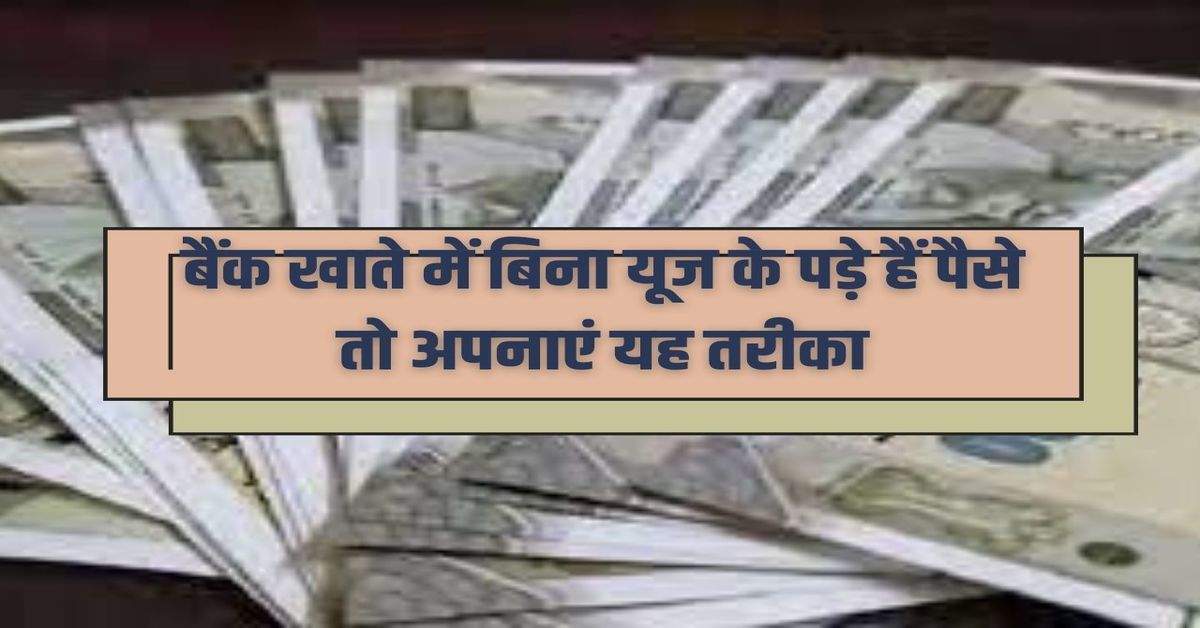 बैंक खाते में बिना यूज के पड़े हैं पैसे तो अपनाएं यह तरीका, घर बैठे होगी तगड़ी कमाई