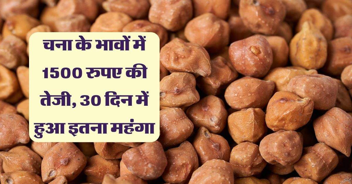 Chana: चना के भावों में 1500 रुपए की तेजी, 30 दिन में हुआ इतना महंगा