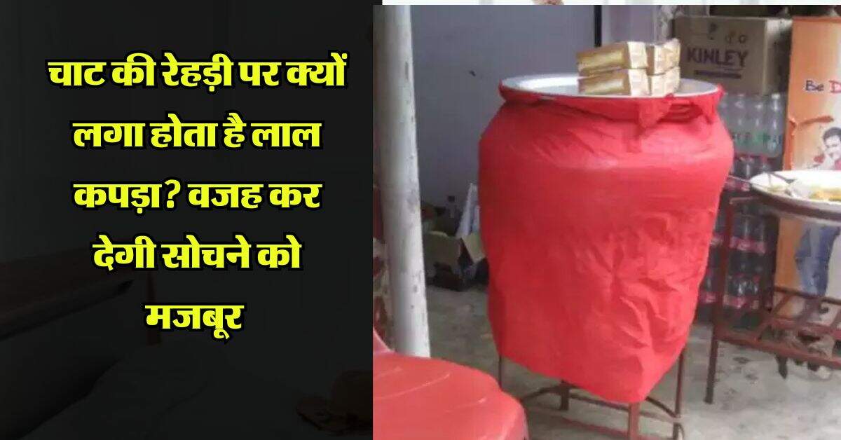 चाट की रेहड़ी पर क्यों लगा होता है लाल कपड़ा? वजह कर देगी सोचने को मजबूर