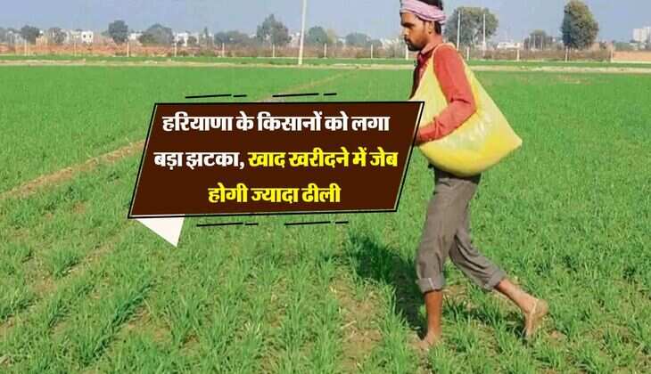 हरियाणा के किसानों को लगा बड़ा झटका,खाद खरीदने में जेब होगी ज्यादा ढीली 