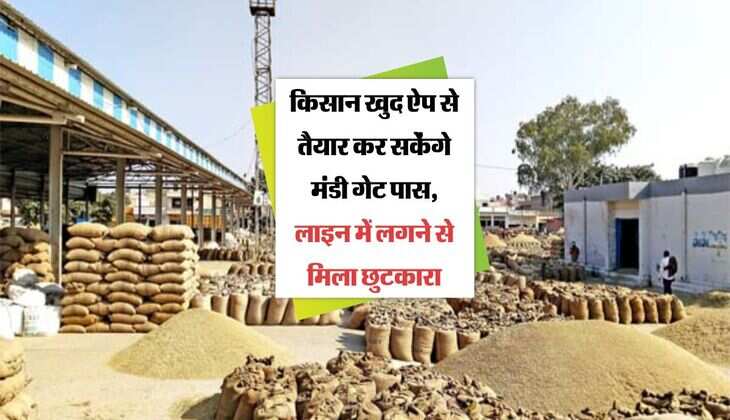 Haryana: किसान खुद ऐप से तैयार कर सकेंगे मंडी गेट पास, लाइन में लगने से मिला छुटकारा