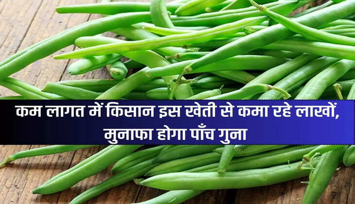 Farmers are earning lakhs from this farming at low cost, profit will be five times