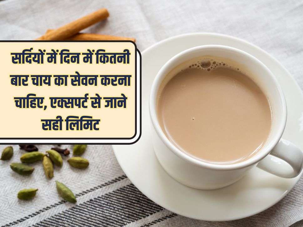 Tea : सर्दियों में दिन में कितनी बार चाय का सेवन करना चाहिए,  एक्सपर्ट से जाने सही लिमिट