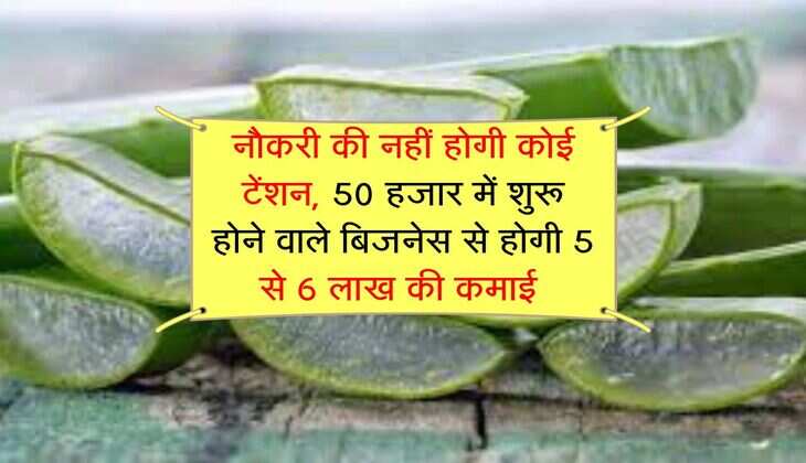 Business idea : नौकरी की नहीं होगी कोई टेंशन, 50 हजार में शुरू होने वाले बिजनेस से होगी 5 से 6 लाख की कमाई 