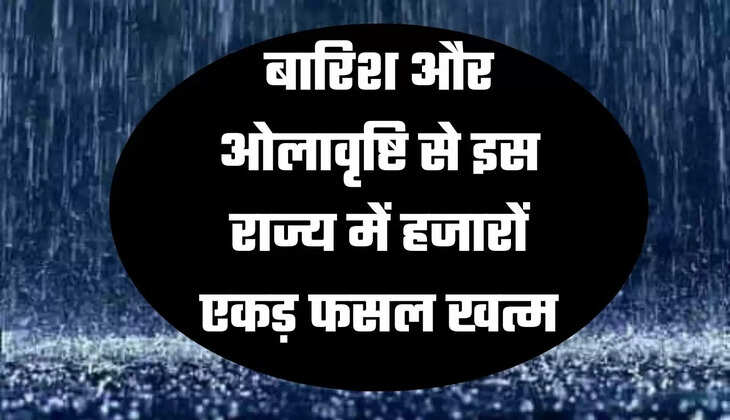 बारिश और ओलावृष्टि से इस राज्य में हजारों एकड़ फसल खत्म