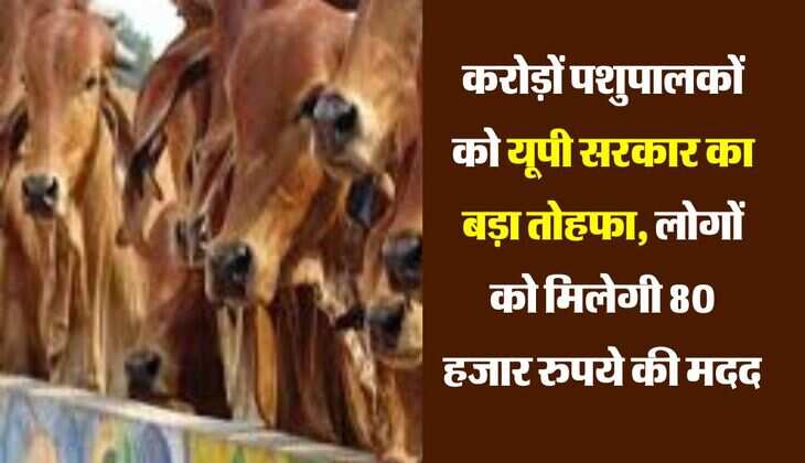 करोड़ों पशुपालकों को यूपी सरकार का बड़ा तोहफा, लोगों को मिलेगी 80 हजार रुपये की मदद 