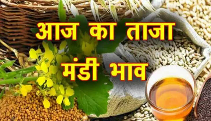 Mandi Bhav 16 February 2022