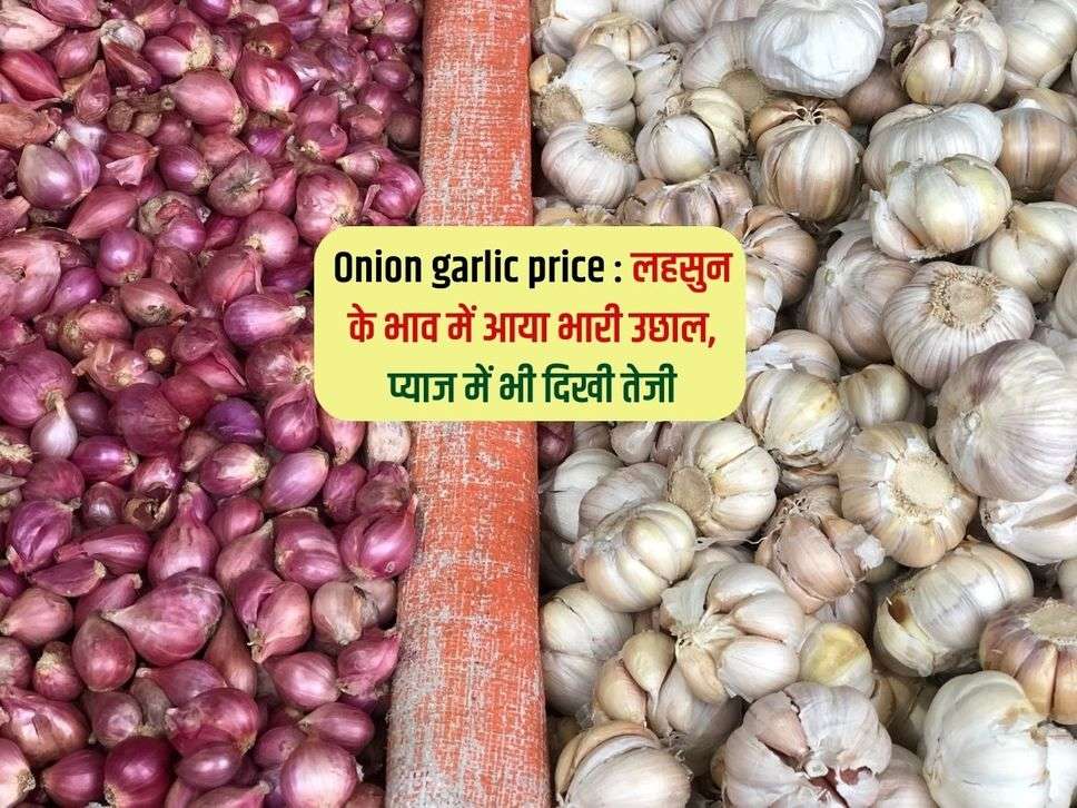 Onion garlic price : लहसुन के भाव में आया भारी उछाल, प्याज में भी दिखी तेजी 