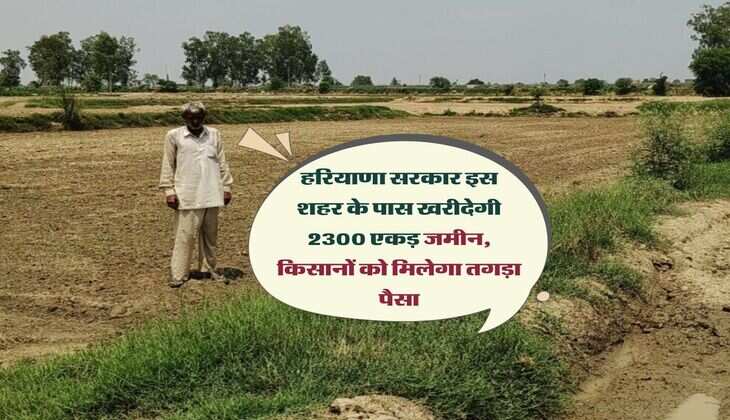 हरियाणा सरकार इस शहर के पास खरीदेगी 2300 एकड़ जमीन, किसानों को मिलेगा तगड़ा पैसा