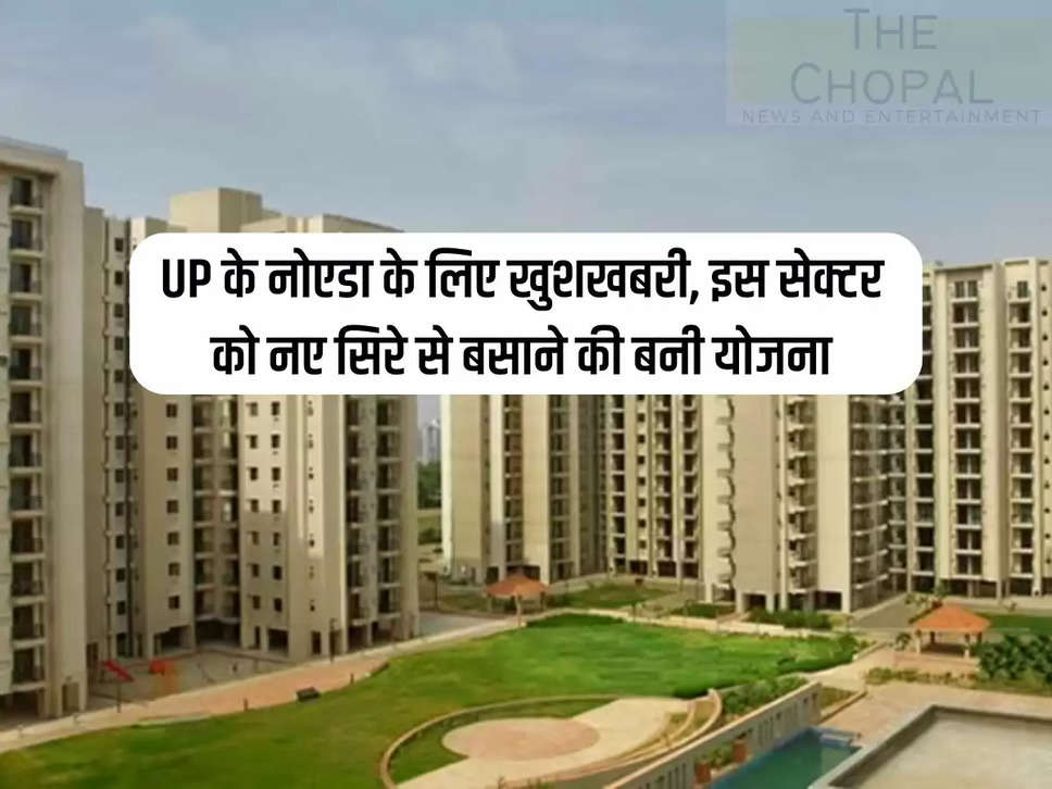 Good news for Noida of UP, plan made to resettle this sector