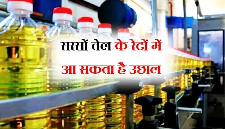 Edible Oil Price Hike: सरसों तेल के रेटों में आ सकता है उछाल, रसोई खर्च से जेब ज्यादा ढीली होगी