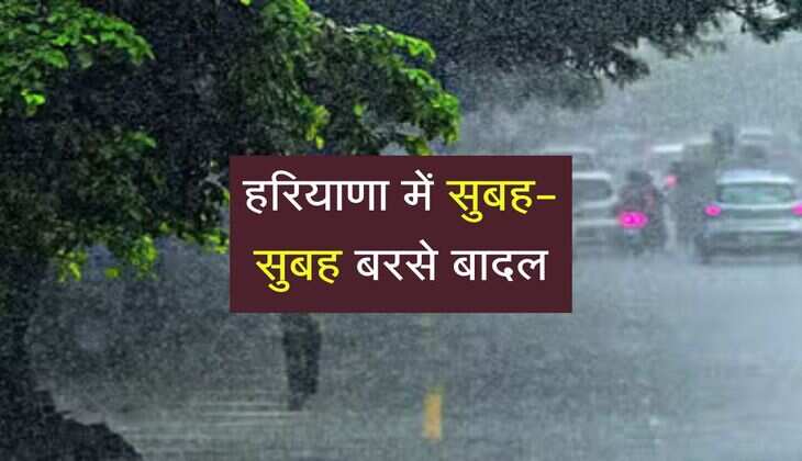 हरियाणा में सुबह-सुबह बरसे बादल, आगे ऐसा रहेगा मौसम का मिजाज 