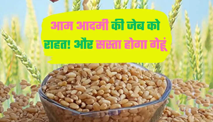 आम आदमी की जेब को राहत! और सस्ता होगा गेहूं