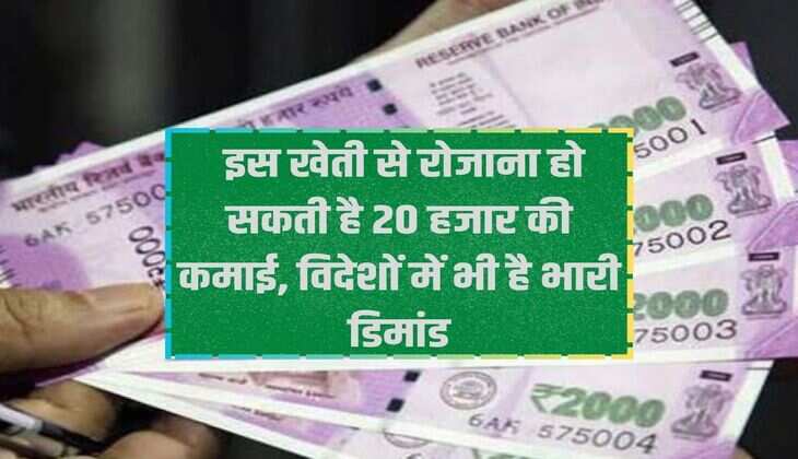 This farming can earn Rs 20 thousand per day, there is huge demand in foreign countries also.