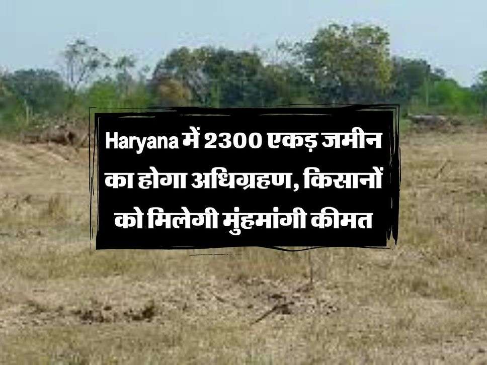 Haryana में 2300 एकड़ जमीन का होगा अधिग्रहण, किसानों को मिलेगी मुंहमांगी कीमत 