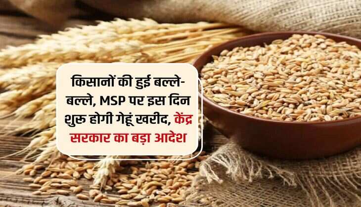 किसानों की हुई बल्ले-बल्ले, MSP पर इस दिन शुरू होगी गेहूं खरीद, केंद्र सरकार का बड़ा आदेश 