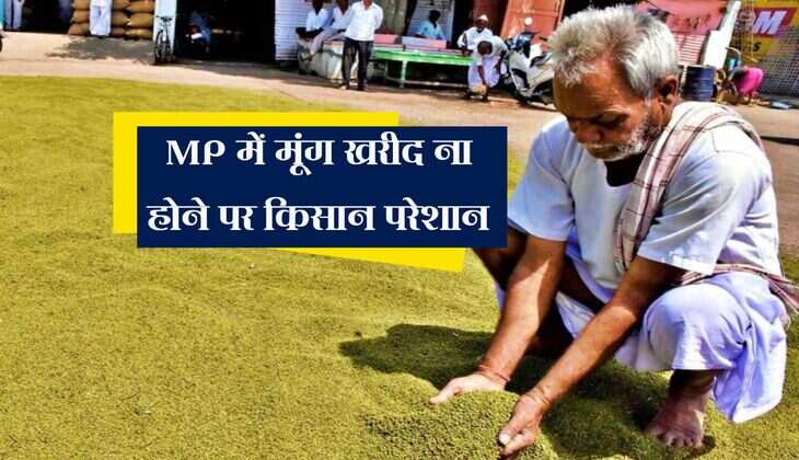 MP में मूंग खरीद ना होने पर किसान परेशान, अब सीएम ने दिया बड़ा बयान