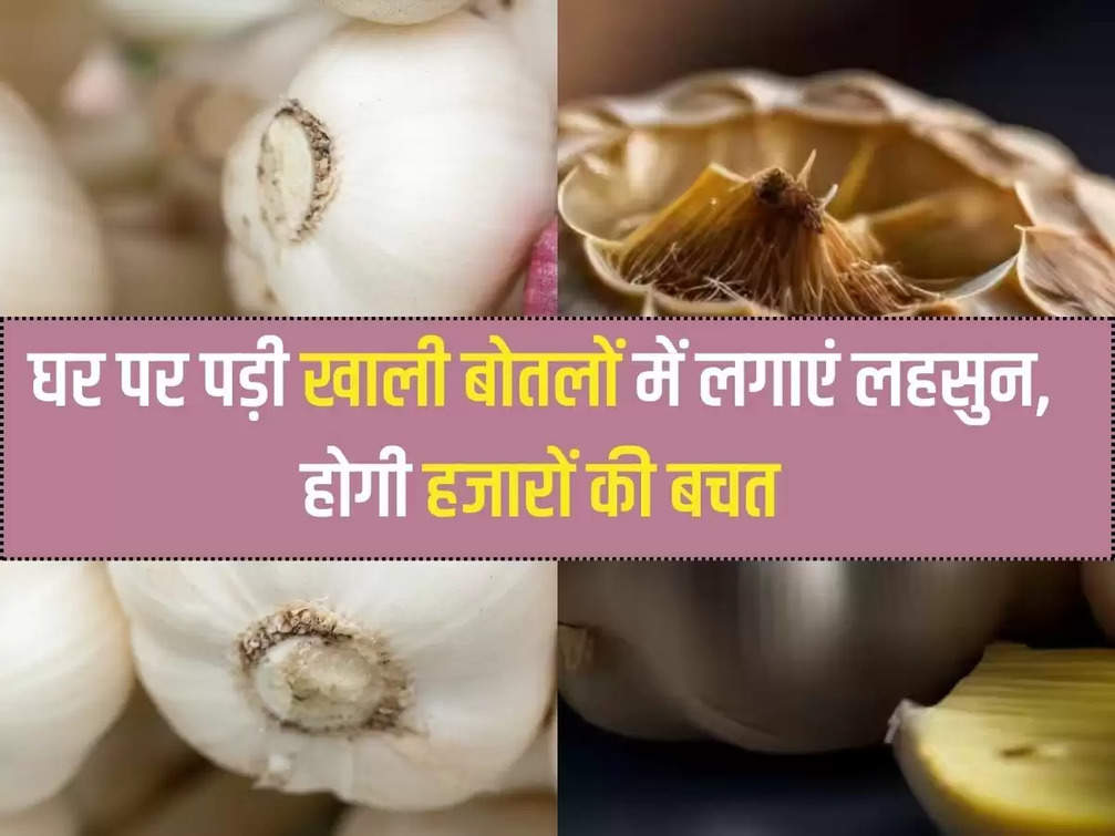 Use garlic in empty bottles lying at home, thousands will be saved